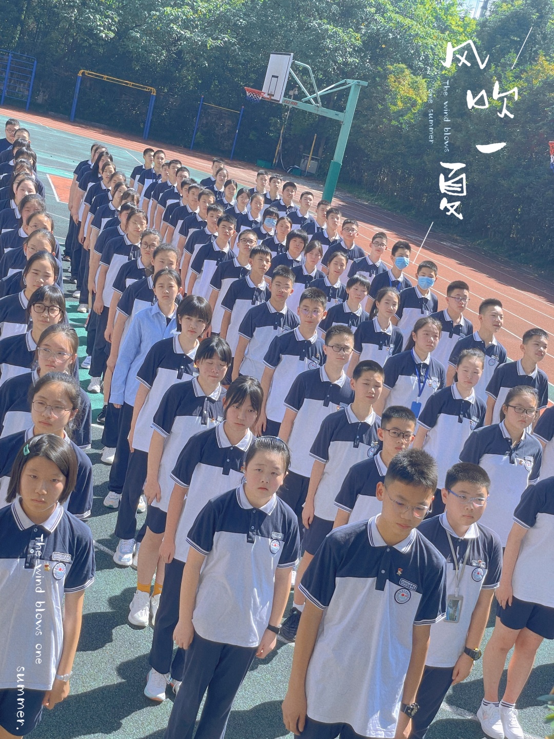 杭州滨兰实验学校图片
